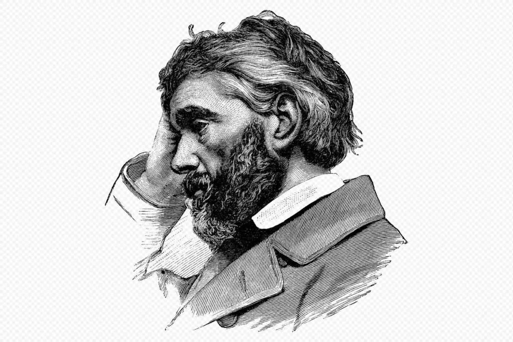 Thoughtful Victorian Man With Beard Illustration Preview
