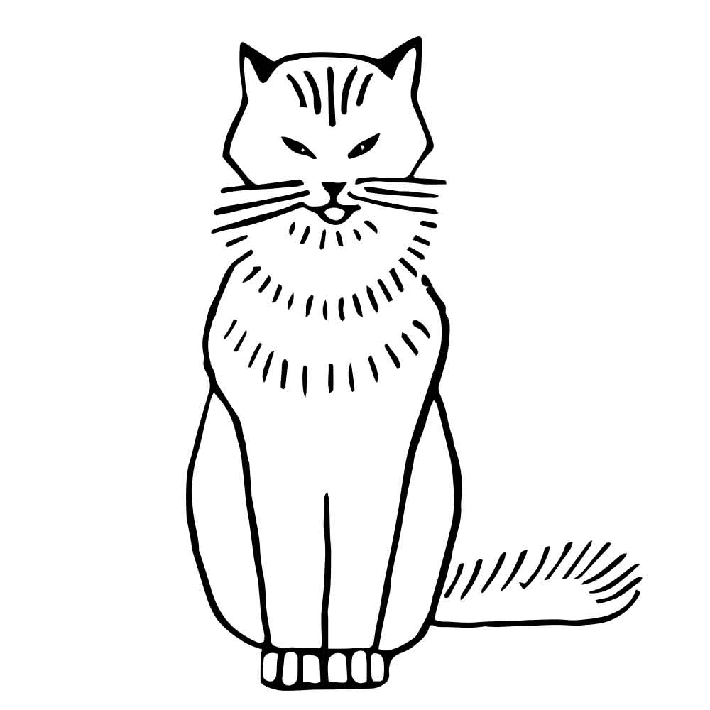 Cat Web