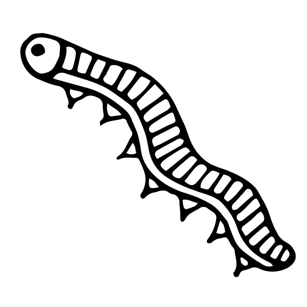 Caterpillar Webpreview