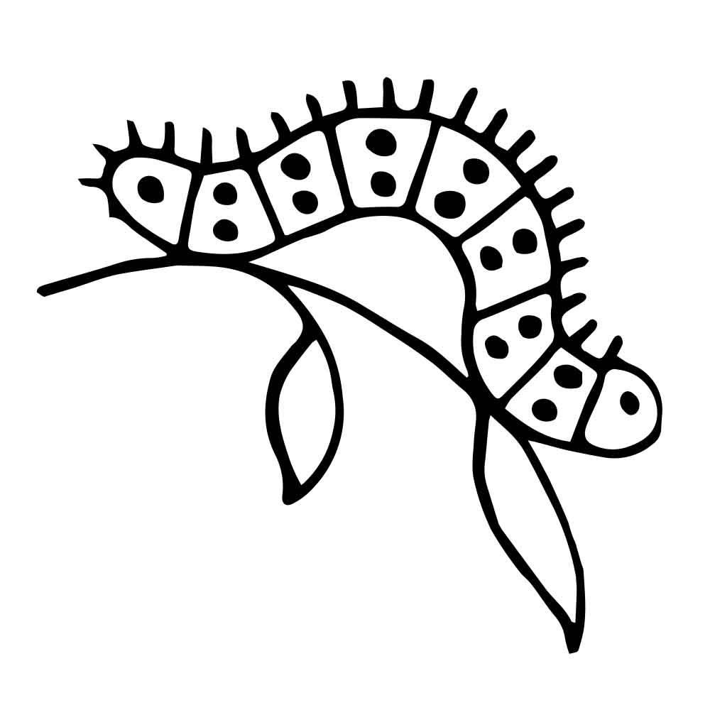 Caterpillarleaf Webpreview