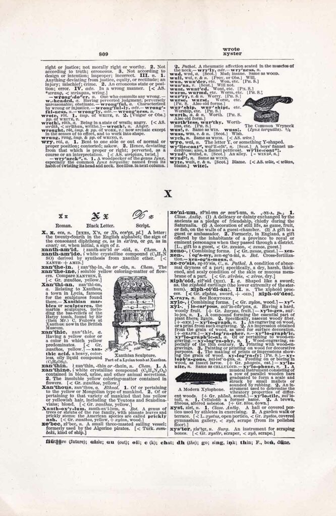 Dictionary Page Letter X Fwd809 Web