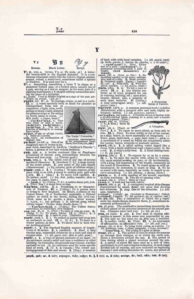 Dictionary Page Letter Y Fwd810 Web