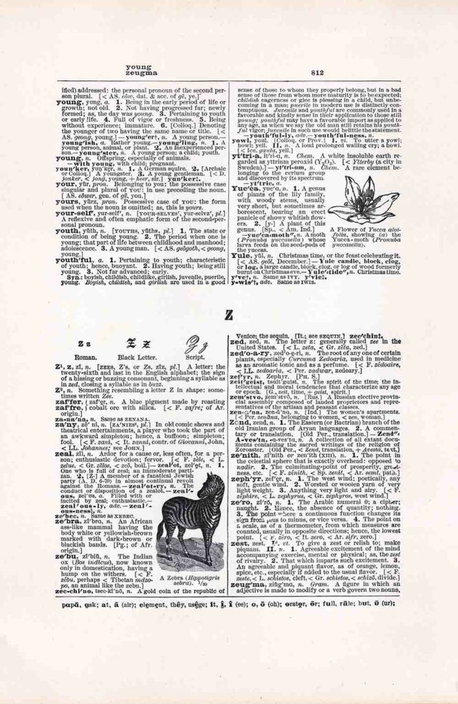 Dictionary Page Letter Z Fwd812 Web