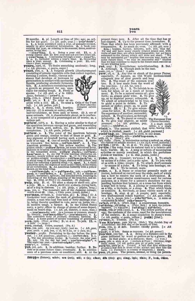 Dictionary Page Year You Fwd811 Web