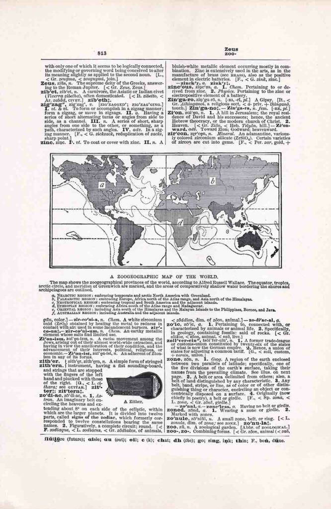 Dictionary Page Zeus Zoo Fwd813 Web