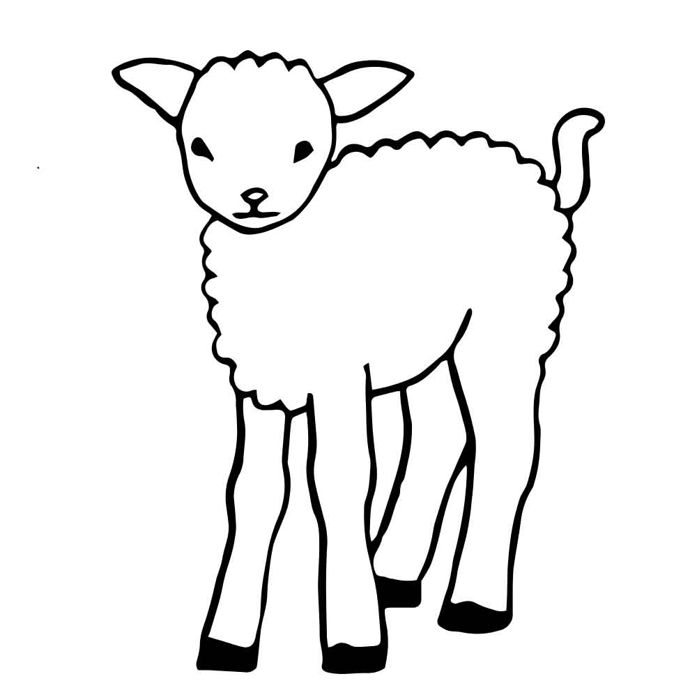 Lamb Web