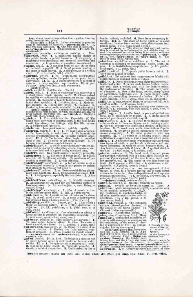 Questor Quinqu Dictionary Page Fw571