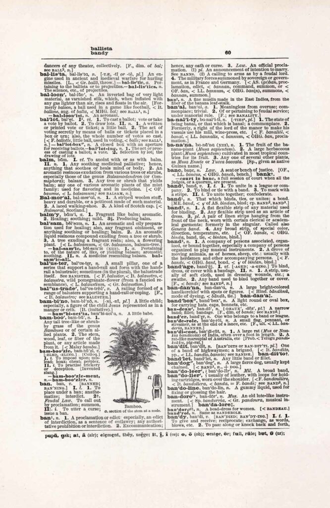 Vintage Dictionary Page Websize Fw60