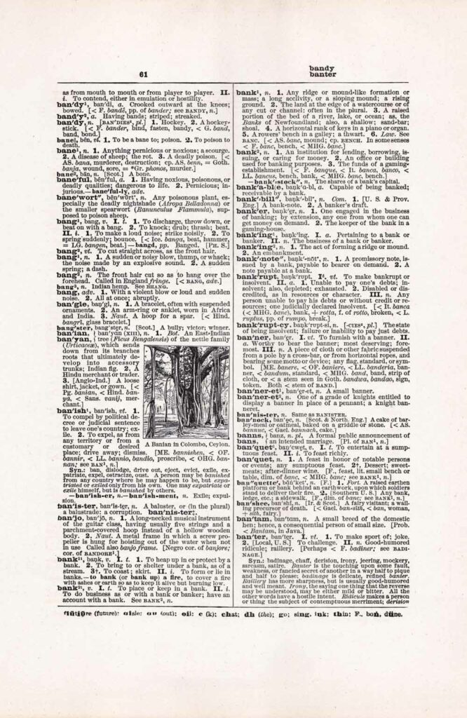 Vintage Dictionary Page Websize Fw61