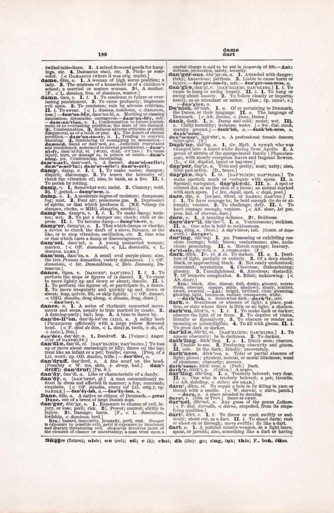 Vintage Dictionary Web 189