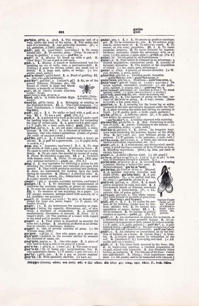Vintage Dictionary Web 301