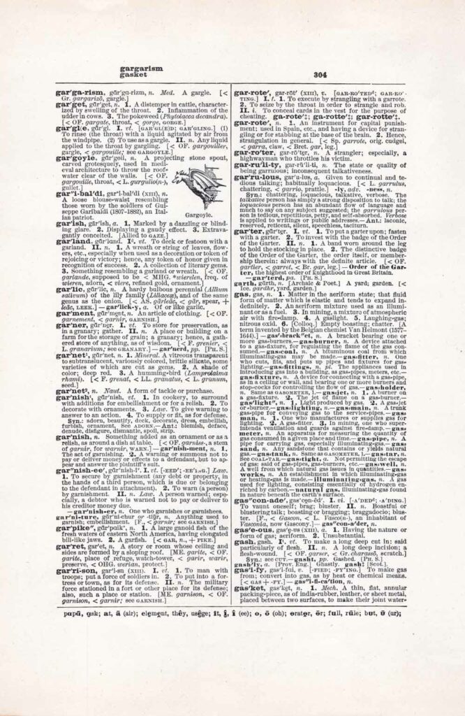 Vintage Dictionary Web 304