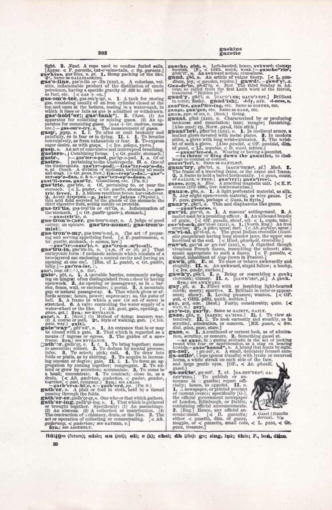 Vintage Dictionary Web 305