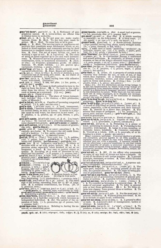 Vintage Dictionary Web 306