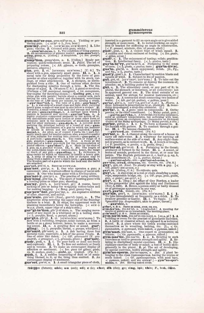 Vintage Dictionary Web 325