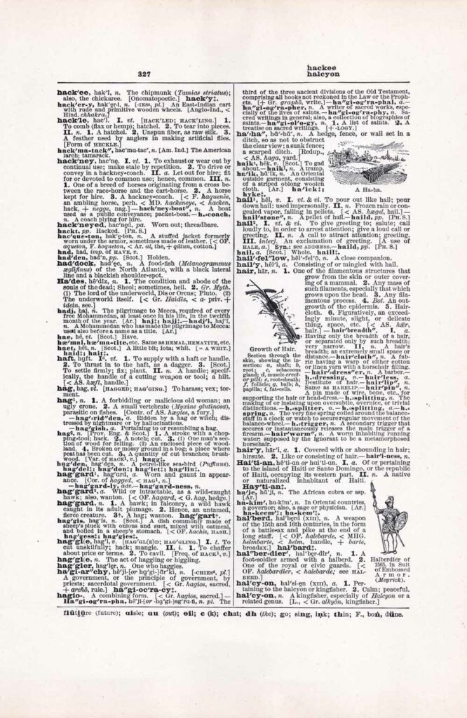 Vintage Dictionary Web 327