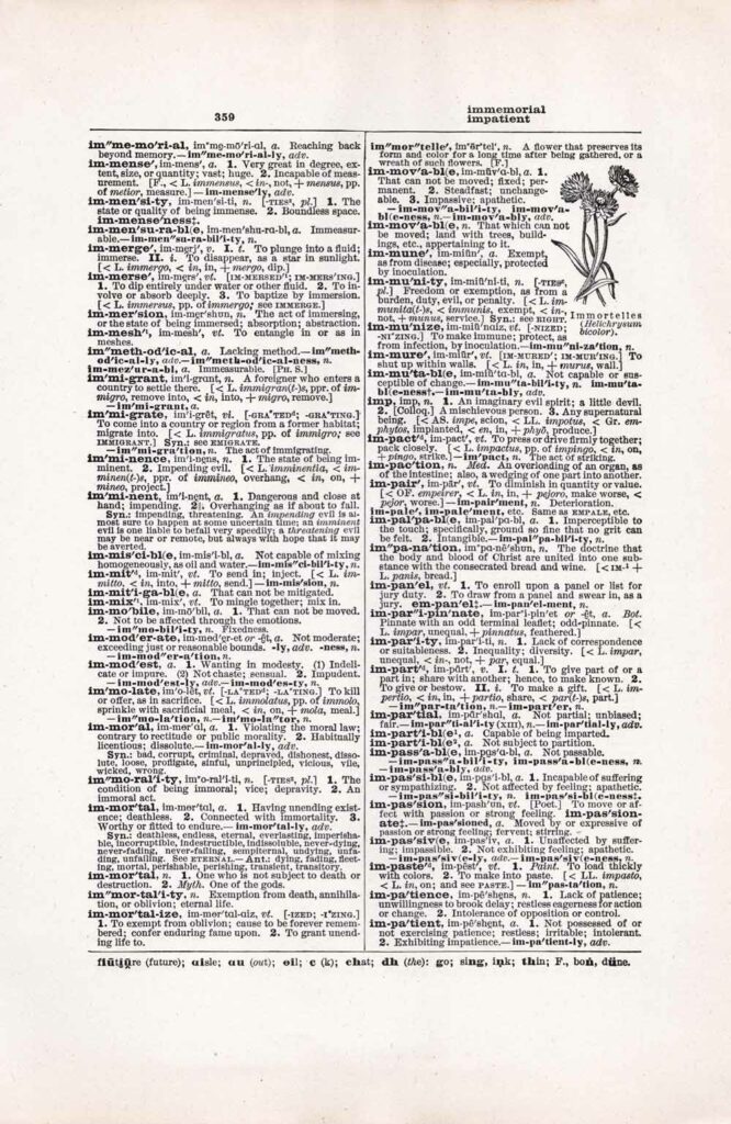 Vintage Dictionary Web 359