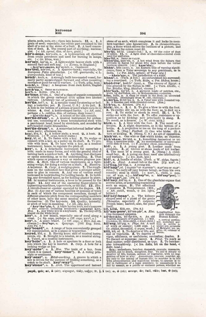 Vintage Dictionary Web 394