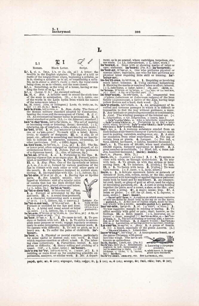 Vintage Dictionary Web 398