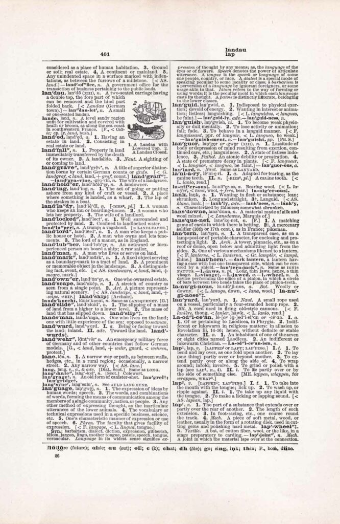 Vintage Dictionary Web 401